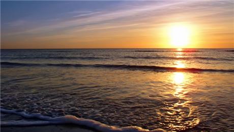 Banner Picture